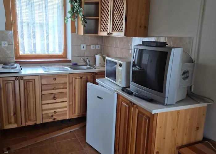 Vakantiehuis Motylek Sedmicka Borusov